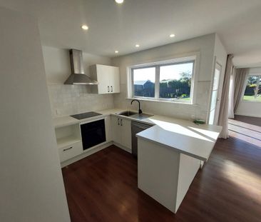 41 Moreland Avenue, Papanui - Photo 6