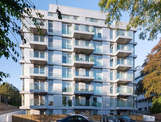 Central Park - Photo 1