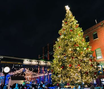 For Lease - 35 Parliament Street Unit# 1110, Toronto, Ontario - Photo 2