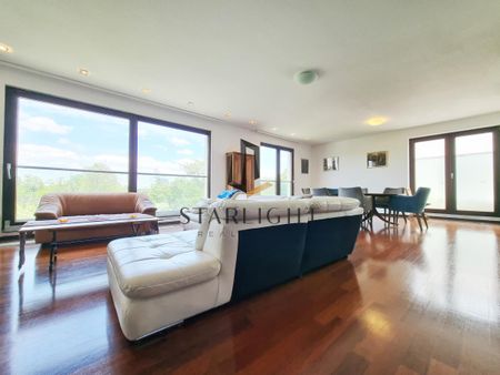 Exclusive 3-Bedroom Penthouse with Rooftop Terrace - Photo 2