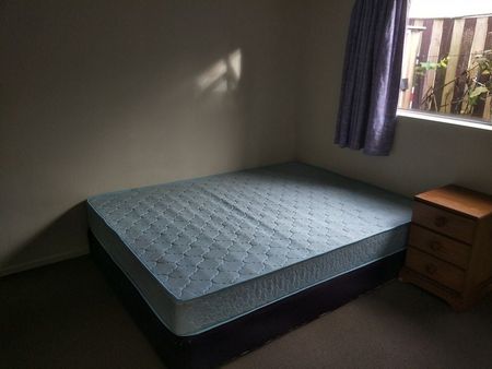 Studio Apartment in heart of Royal Oak - Photo 2