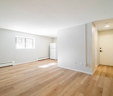 For Lease - 77 East Street, St. Thomas, Ontario - Photo 1