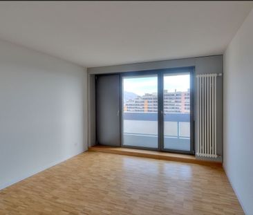 LOCATION SANS CAUTION - Le poumon vert d’Aarau - Photo 2