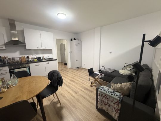 Pronájem bytu 1+kk a garsoniéry 47 m² - Fotografie 1