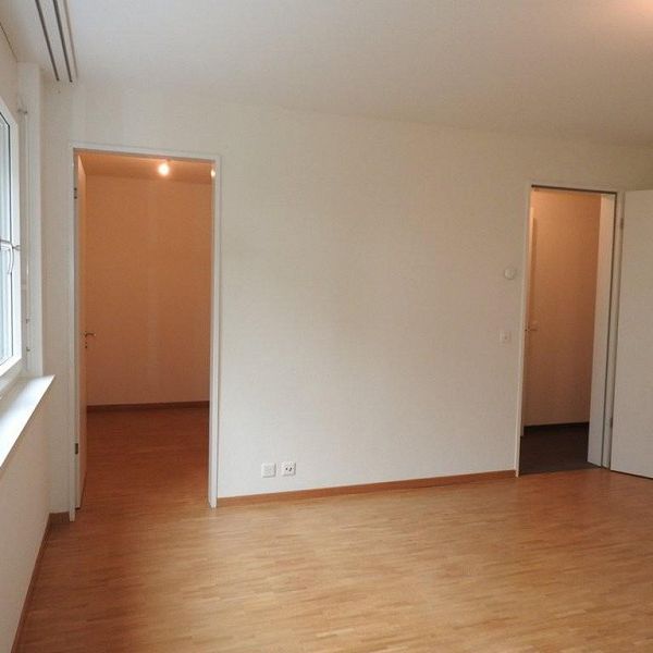 Grosszügige Maisonettewohnung an naturnaher Lage - Photo 1