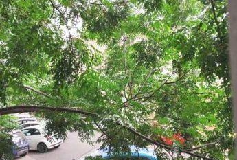 Monteverde Vecchio: Modern 2 bedroom, 2 bath, large living room, separate kitchen. Bright, silent, parquet floors, situated in lovely period building, excellent area, near park. Ref. 2364.