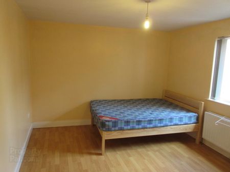 All Bedrooms Upstairs, 73b Agincourt Avenue, BT71QB, Belfast - Photo 5