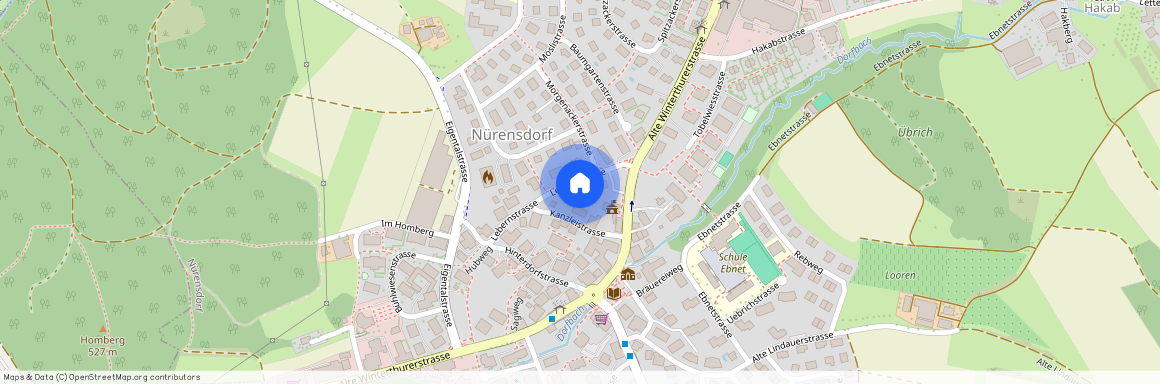 Lebernstrasse 8, 8309 Nürensdorf