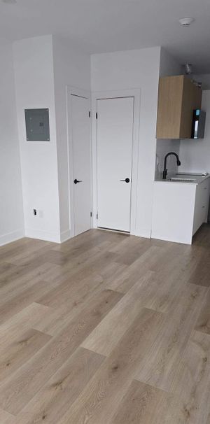 1 CH - 1 SDB - Montréal - $1,190 /mo - Photo 1