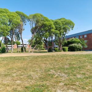 Arvidsgatan 4 B - Photo 2