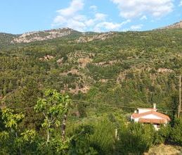 Μονοκατοικία για ενοικίαση - Αιγείρα, - Photo 6