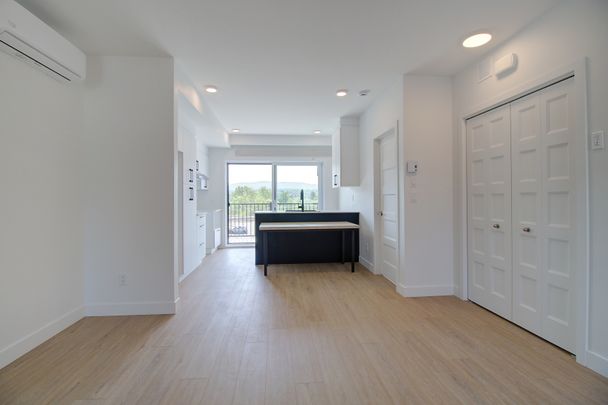 5001, boul. Bertrand-Fabi #401, Sherbrooke (Rock Forest | St-Élie) - Photo 1