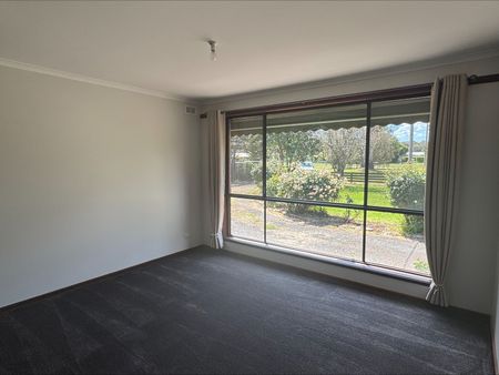 Toongabbie Delight - Photo 3