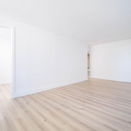 LIBRE - Face au Collège Bois-de-Boulogne Ahuntsic Montreal - appartement/ logement à louer - Photo 3