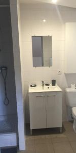 Location Appartement 1 pièce 21m² ST ETIENNE 42000 - Photo 3