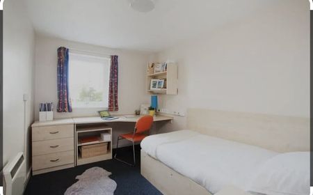 Room in a Shared Flat, Liverpool, L3 - Photo 2