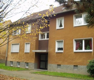 *** Beste Lage auf der Heimaterde! Modernisierte 2 Zimmer-Erdgescho... - Photo 5