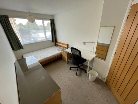 3 bedroom house share to rent - Photo 3