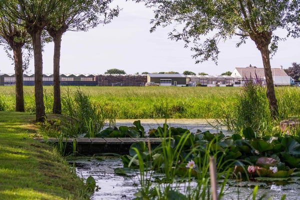 Te huur: Huis Rijnsburgerweg in Voorhout - Foto 1