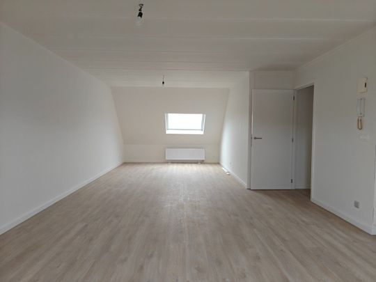Gerenoveerd appartement te huur - Photo 1