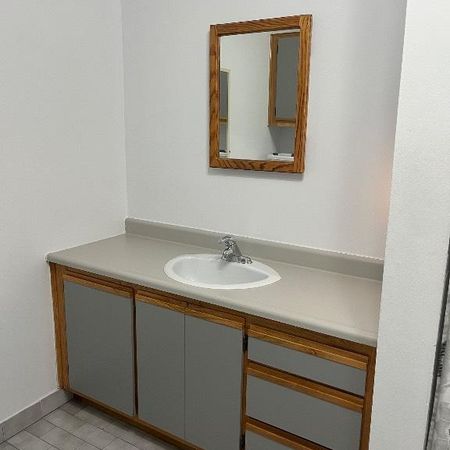 Logement à louer - Photo 3