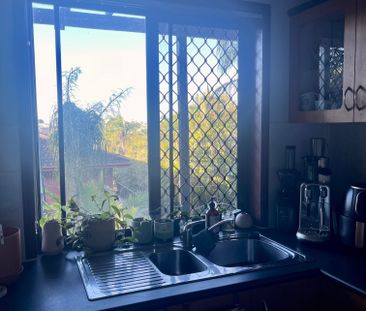 Mount Gravatt East - Photo 4