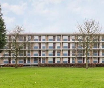 Ogierssingel 0ong, 3076 CN Rotterdam, Nederland - Photo 1