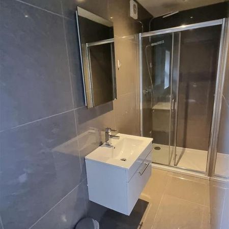 1 bedroom private hall to rent - Photo 4