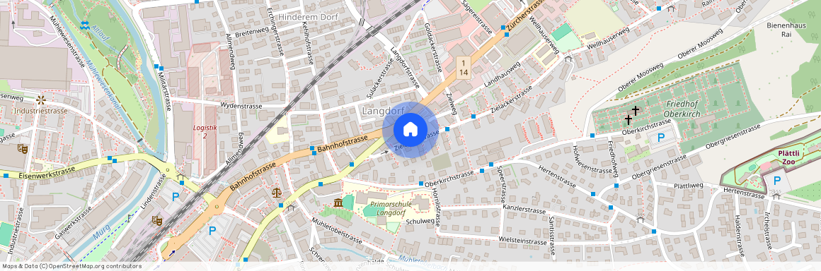 Zielackerstrasse 11, 8500, Frauenfeld