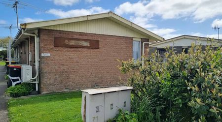 Sunny Studio Unit for Rent – Peaceful and Easy Living! Right in the centre of Mataura! - Photo 4