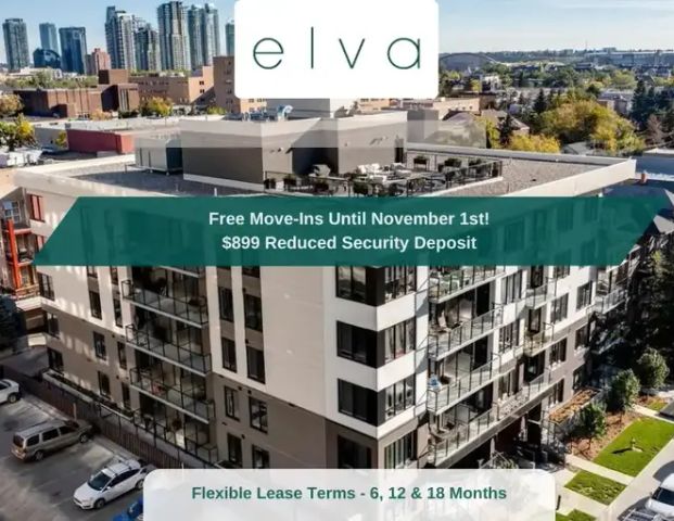 Elva | 320 25 Ave SW, Calgary - Photo 1