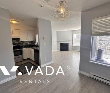 Unfurnished, Pet Friendly, 1 Bed 1 Bath Apartment For Rent - Photo 5