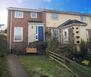 Westminster Road, Redhills, Exeter, EX4 - Photo 3