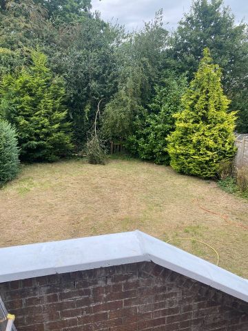 4 Bed Semi-Detached House, Montrose Road, S7 - Photo 3