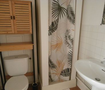 Location Appartement 1 pièce 21m² LE MANS 72000 - Photo 5