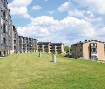 Afd. 6 Bjellerupparken - Foto 5