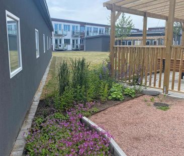 Panelgatan 42 lgh 1111 - Foto 4