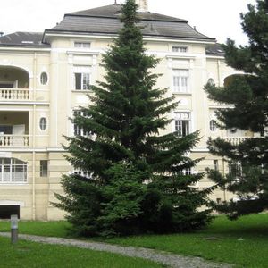 HOLLABRUNN XXIV/2 - Seminarvilla - Photo 2