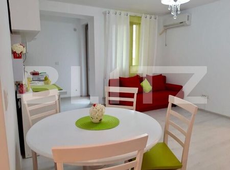 Apartament cu 2 camere, 50 mp, etaj 1, centrala si aer, zona Centrala - Fotografie 5
