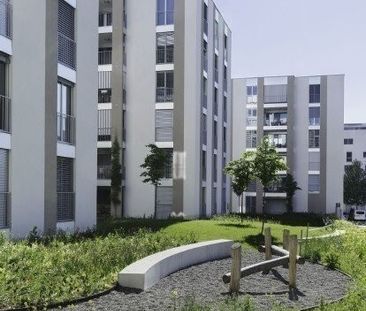 Voulez-vous vivre de manière centralisée et moderne ? - Foto 4