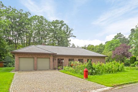 Laagbouwvilla 4 slaapkamers te Hoog-Linden - Foto 2