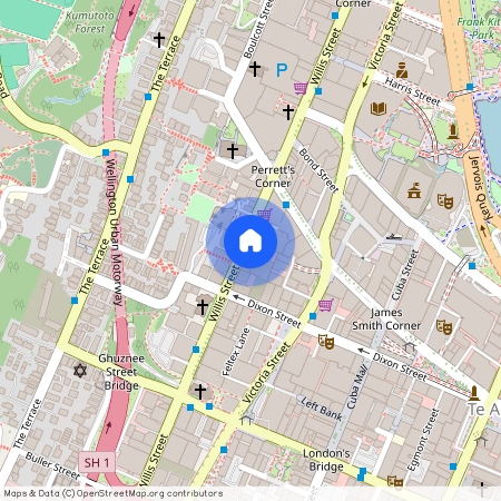 149a Willis Street, Te Aro, Wellington City