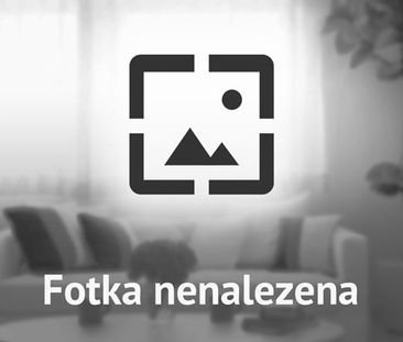 Pronájem bytu pokoj 16 m2 - Fotografie 3