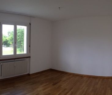 3.5 Zimmer, 77 m², 1. Stock - Foto 2