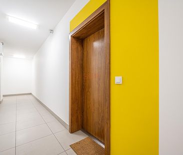 3 pokoje na Borku | Świetna opcja dla pracowników z Korei - Photo 2