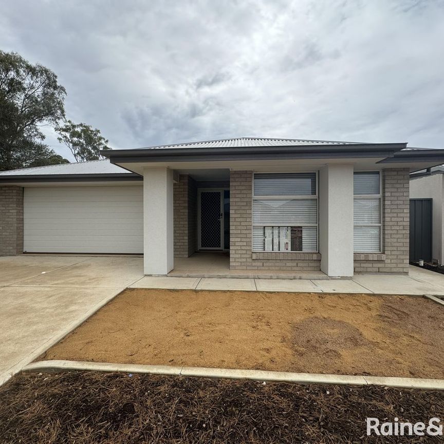 14 Cornwell Street, Munno Para Downs, SA 5115 - Photo 1