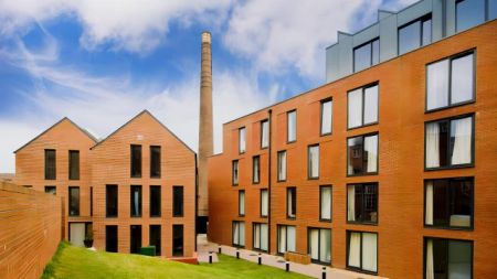 Deluxe Studio - Photo 5