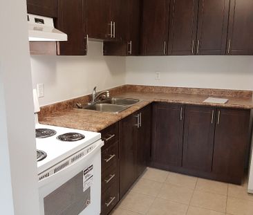 One Bedroom Apartment - Photo 5