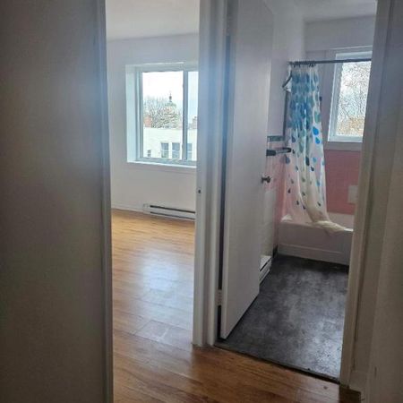 1 CH - 1 SDB - Montréal - $1,245 /mo - Photo 3
