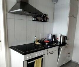 APPARTEMENT DE 3 PIÈCES À WORBLAUFEN (BE), MEUBLÉ, TEMPORAIRE - Foto 5